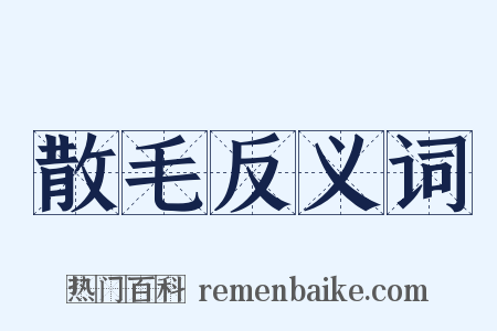 散毛反义词是什么意思的图片